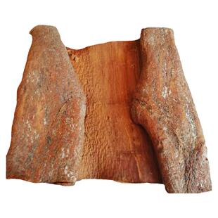 油桂中药材广西肉桂百年树龄药用油桂非越南肉桂紫油桂中药材500g