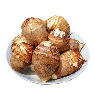 正宗山东牛奶小芋头新鲜毛芋头当季芋艿香芋非红芽荔浦批发