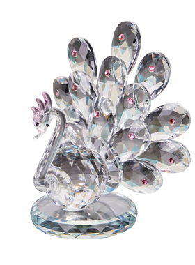 送老婆女朋友经纪合同游艇孔雀