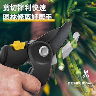 得力(deli)省力果枝剪园林园艺剪树枝剪家用修枝剪枝修花剪刀开口