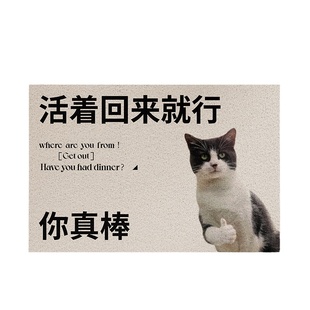 活着回来就行地毯入户门地垫进门口玄关2025新款丝圈耐脏pvc脚垫