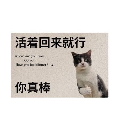 有家至美丝圈入户门地垫免洗垫子