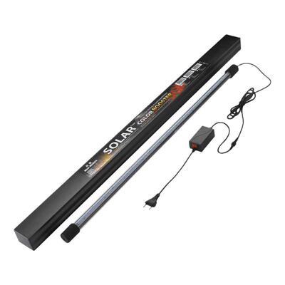 LED超亮增色雷龙鱼专用灯增艳