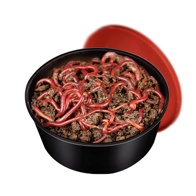 【天猫优选】钓鱼活体蚯蚓