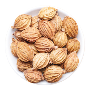 醉川味香砂仁100g香料大全香砂卤肉香料调料包卤肉炖肉川砂仁沙仁