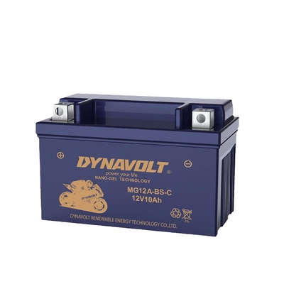 猛狮摩托车电瓶晓星隆鑫