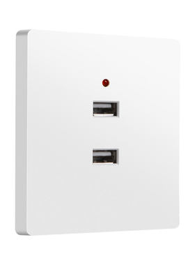 国际电工官方正品工地专用usb