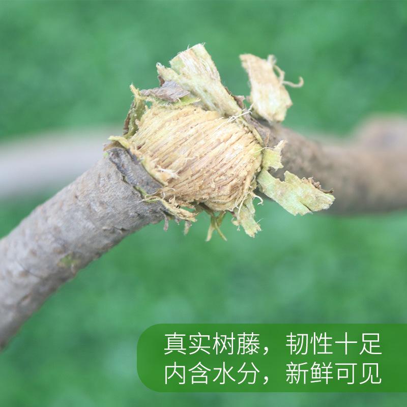 仿真树藤室内装饰枯藤管道缠绕假植物藤叶藤条红山藤蔓干葡萄造景