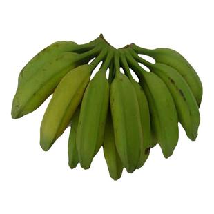 广西芭蕉牛蕉大蕉大芭蕉牛角蕉板净重酸甜味当季新鲜采摘青蕉发