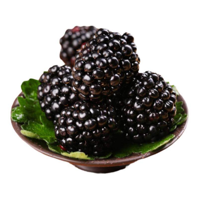 现货新鲜黑莓云南怡颗莓树莓鲜果蓝莓