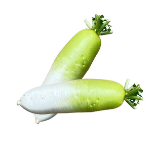 农家自种新鲜白萝卜青头白皮长型大萝卜水份多当天现挖现发 可炖