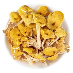 鸡油菌干货云南土特产菌菇包山珍蘑菇旗舰店煲汤材料黄丝菌500g