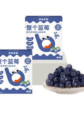 神兽果果蓝莓干健康营养孕妇儿童零食宝宝小吃蓝莓果干