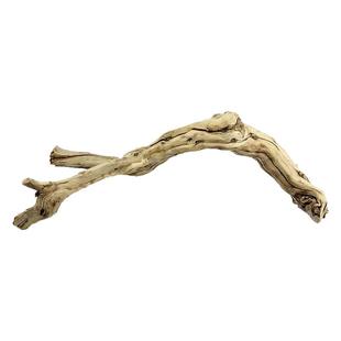 BG爬宠霸王藤木雨林造景装饰鬃狮蜥蜴宠物蛇守宫饲养箱攀爬藤条树