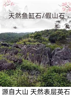 鱼缸造景石头天然青龙石水族水草石自己做水陆缸假山石头套餐摆件