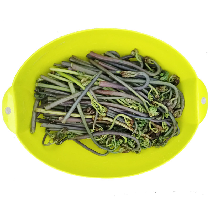 贵州蕨菜新鲜蕨苔撅菜野生山野菜