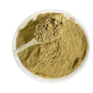 酱油曲精大酱发酵菌高纯度米曲霉菌豆豉黄豆酱发酵曲 酱油发酵菌