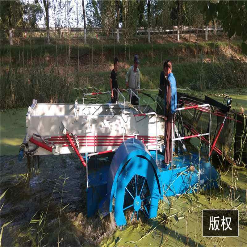 河道芦苇收割船 清理水上芦苇浮萍机械  清理水草割草船机械