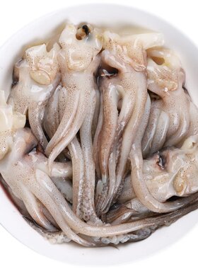 新鲜鱿鱼头现切冷冻鱿鱼须餐饮饭店商用食材章鱼须烧烤用品20斤