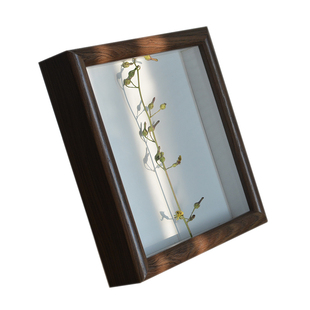 玻璃相框透明 蝴蝶植物标本框创意装饰定制 摆台挂墙中空现代简约