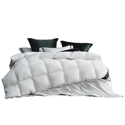 水星家纺桑蚕丝鹅绒二合一被