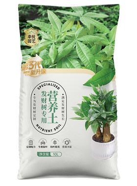 种植发财树专用营养土