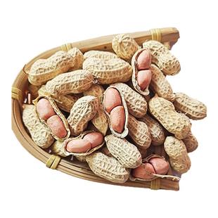 2025年新鲜干花生带壳生花生白沙小籽粉红皮带泥鲜花生可水煮