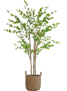 马醉木仿真绿植大型北欧
