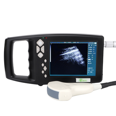 猪博士宠物诊断测孕仪探头b超机