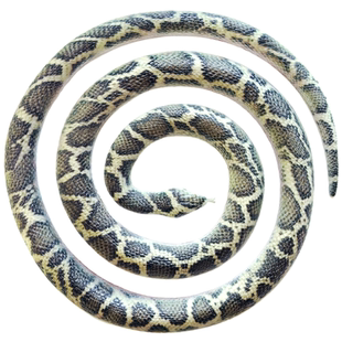 大号软胶蛇彩印高档仿真蟒蛇幼儿园儿童玩具逼真吓人假蛇动物模型