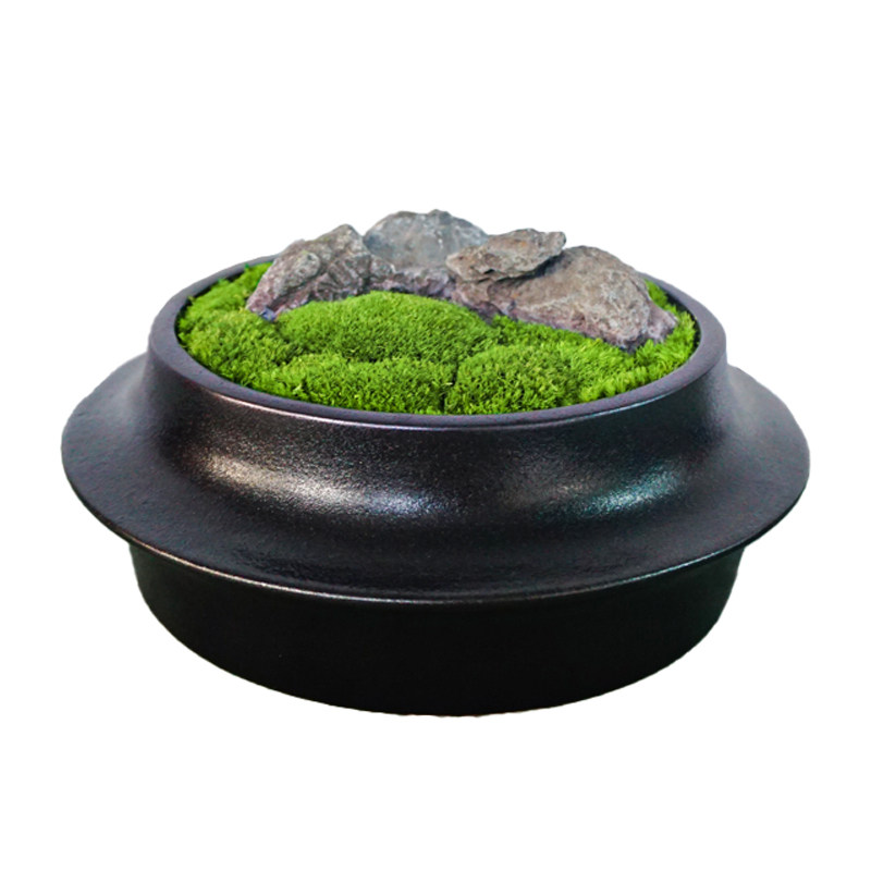 苔藓微观植物盆栽创意盆景摆件