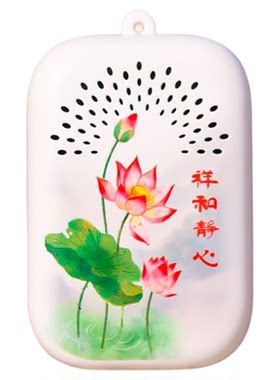 热卖爆款高档小音响播放器老年人便携式插卡唱歌机内置音乐随身听