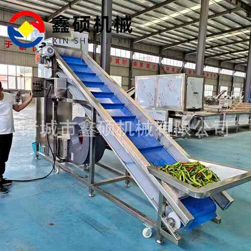 商用大型风选机筛选去杂机全自动辣椒毛豆风选去杂机粮食筛选设备