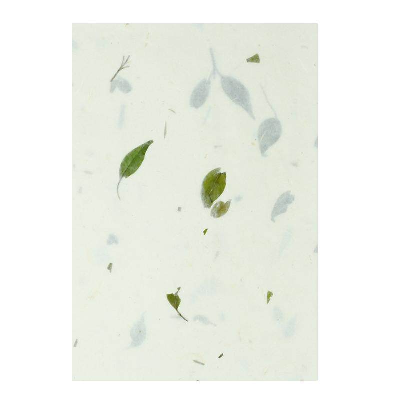 檀旗花草纸信笺纸宣纸小楷作品纸云龙皮纸茶叶植物宣纸古风小清新一笔笺宣纸信纸硬笔宣纸书法专用纸半生半熟