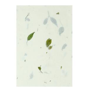 檀旗花草纸信笺纸宣纸小楷作品纸云龙皮纸茶叶植物宣纸古风小清新一笔笺宣纸信纸硬笔宣纸书法专用纸半生半熟