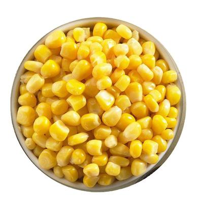 岳雁甜玉米粒水果多袋小包装
