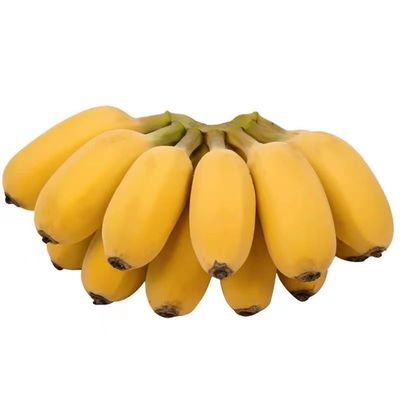 正宗苹果蕉应季自然熟香蕉