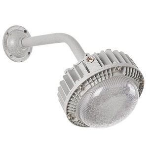 led防爆灯平台灯加油站化工厂房仓库车间防水防腐防尘应急三防灯