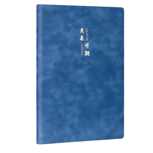 得力笔记本子羊巴皮记事本a5软皮商务办公会议记录本子皮面本b5加厚工作笔记本复古皮面简约文艺随身日记本