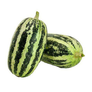 博盛9号甜瓜种子薄皮香瓜种籽博洋甜瓜种子花皮甜瓜早熟脆甜包邮