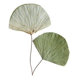 新中式禅意天然荷叶莲蓬干枝干花花束真花风干家居装饰摆件大荷花