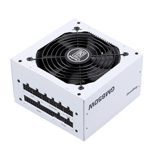 鑫谷GM650W/750W/850W冰山白色金牌全模组ATX3.1静音温控电脑电源