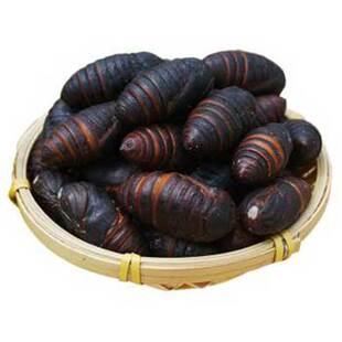 柞蚕蛹新鲜活东北特产高蛋白个大黑中二黄蝉蛹A级大茧500g包邮1斤