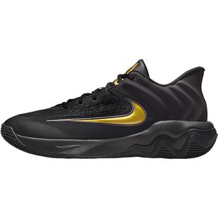 Nike/耐克官方正品训练男士运动耐磨低帮系带篮球鞋FQ3681-005