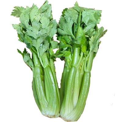 维康西芹生吃水果芹菜健康绿色