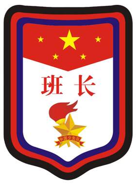 学生班干部臂章袖标别针徽章定做