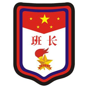 班干部值日生臂章少先队袖标中小学生PVC徽章别针盾形标志牌定做