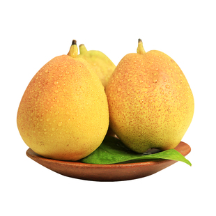 正宗新疆库尔勒香梨旗舰店全母梨子新鲜水果当季整箱时令应季特产