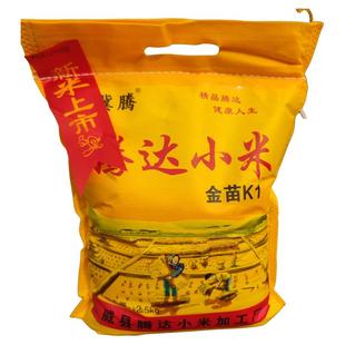 河北邢台 威县小米 2025年新米金苗小米 金苗k1 黄小米 农家自种