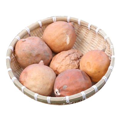 野生食用农产品山东瓜蒌自然新鲜